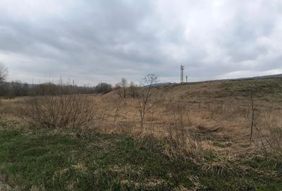 Teren Construcții extravilan de 12400 mp, în Pătrăuți - 4