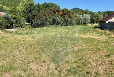 Teren Construcții intravilan de 3154 mp, în Bârsana - 5