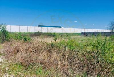 Teren de 2183 mp, în Prundu - 3