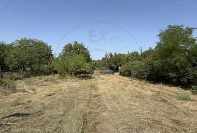 De vanzare Teren extravilan 2000 mp Carei - Gradina Viilor, Valea Tireamului - 3