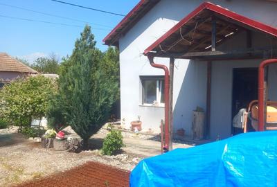 Casă individuală cu 5 camere cu Teren 1000 Mp în Tismana - 10