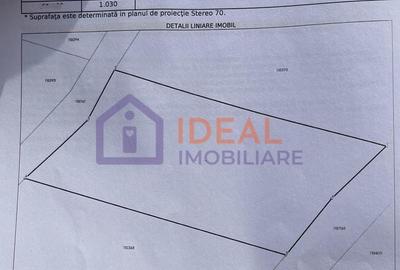 Teren extravilan 1030 mp, Cârțișoara - 7