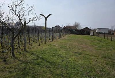 Casă cu 3 camere în Central - 9