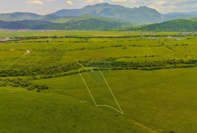 Teren de 10800 mp, în Râșnov - 6