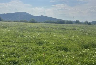 Spațiu comercial, în Hărman - 3