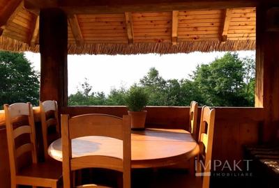 Casa traditionala de vis, aproape de Cluj-Napoca - 17