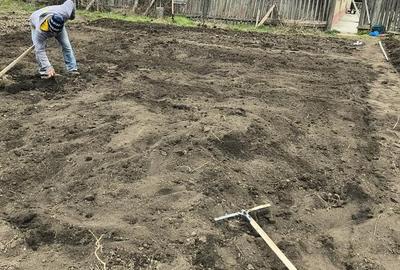 Casă cu 2 camere cu Teren 2500 Mp în Surdila-Greci - 1