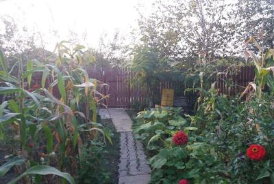 Vand urgent casa de vacanta o camera cu pod in Ghizdaru - 7