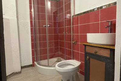 Casă cu 1 camere cu Teren 15 Mp în Ferdinand - 1