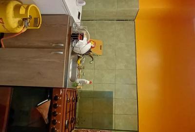 Garsonieră decomandată în Plăvăț II - 1
