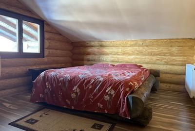 Cabana in inima muntilor, langa partia de schi din Borsa, teren 2200mp - 11