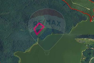 Teren forestier langa lacul Cincis, jud Hunedoara - 2