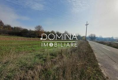 Teren de 1654 mp, în Ursați - 1