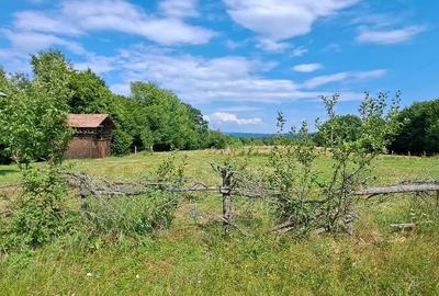 Bughea de Jos-Imparatia Mlacilor, teren de vanzare, 3000 mp, 27 ml deschidere - 5