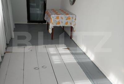 Casa de Vanzare la Țara, Gospodarie Completa, Daneti, judetul Dolj, 2.454 mp - 12