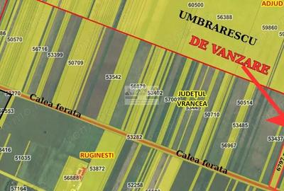 Teren de 6797 mp, în Ruginești - 1