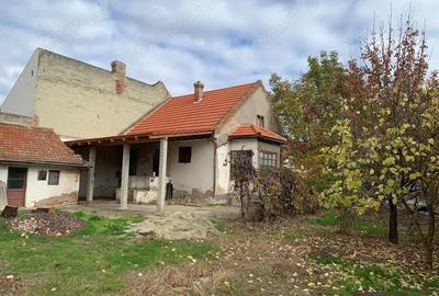 Casă cu 2 camere cu Teren 1007 Mp în Lipovei - 4