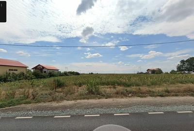 Teren de 1734 mp, în Frumușani - 2