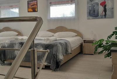 Casă cu 1 camere cu Teren 1000 Mp în Secăria - 2