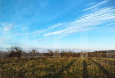 Teren PUZ finalizat, zona Wonderland, pt casa individuala sa - 1