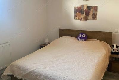 Casa de vanzare in Poroschia - Mobilata, utilata, gata de mutat - 8