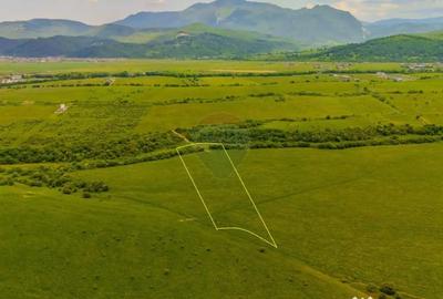 Teren de 10800 mp, în Râșnov - 3