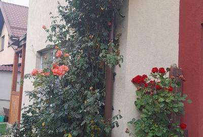 Vand Duplex Tarlungeni Valea cu Flori Comision zero client - 1