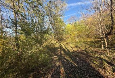 Teren langa pădure 6400mp-casa demolabile-deschidere 35 ml - 8