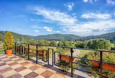 Pensiune Turistica Montana - 1