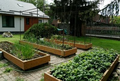 Vila 5 Camere Snagov - 5