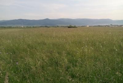 Teren agricol extravilan de 2600 mp, în Cristian - 5