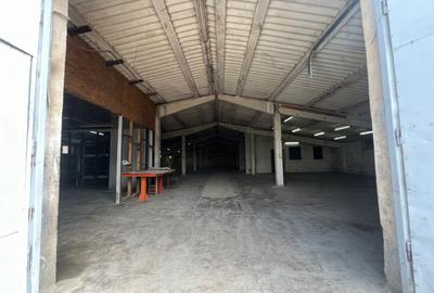 Spațiu industrial, de 750 mp, în Dumbrăvița - 8