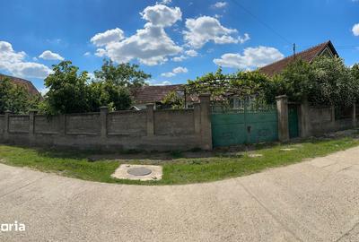 Casă cu 3 camere cu Teren 1500 Mp în Saca - 10