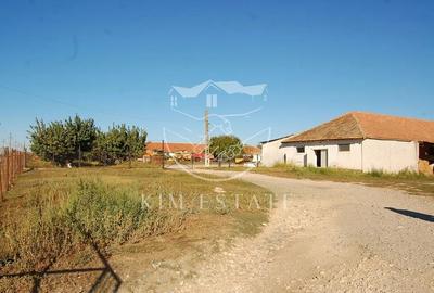 De vanzare ferma N.Balcescu - 7