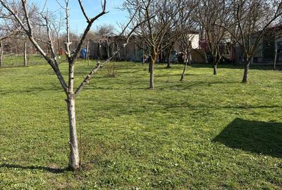 Casa de vanzare la Dridu Ialomita - 9