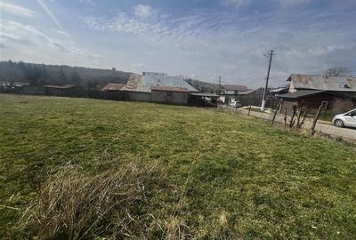 Teren 1630 mp intravilan in Baicoi, zona Dambu. - 11
