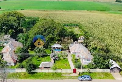 Teren de vanzare 9126 mp- comuna Stefan cel Mare - 2