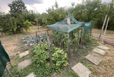 Casa | 9 camere | Garaj | Piscina | Teren 3.000 mp | Comision 0% - 46