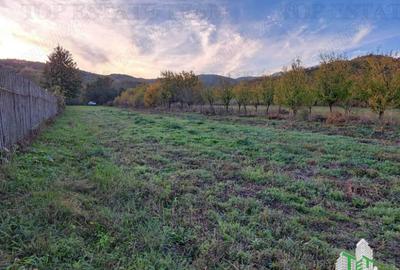 Teren de / Maneciu Pamanteni - 3