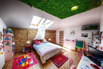 Proprietate unica, independenta energetic, zona Bucium Proprietate unica, independenta energetic, zona Bucium - 23