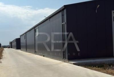 Hala de Vanzare Centura / Magurele - 4