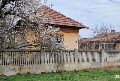 Teren de 1150 mp, în Goicea - 2