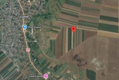 Teren de 10000 mp, în Plenița