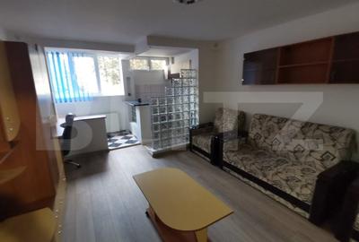 Garsoniera, 32 mp, parter inalt, zona Minerva, Petfriendly - 4