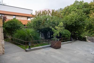 Vila spectaculoasa de vanzare in Faget - 14