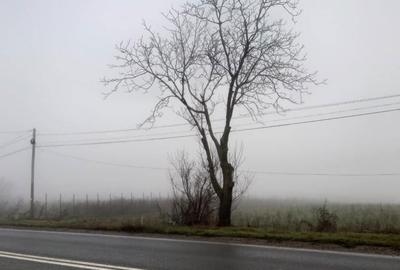 Teren de 6600 mp, în Vânători - 2