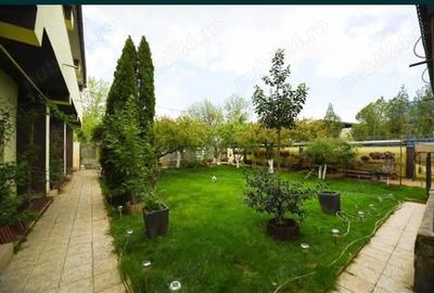 Casă cu 4 camere cu Teren 1000 Mp în Șotrile - 4