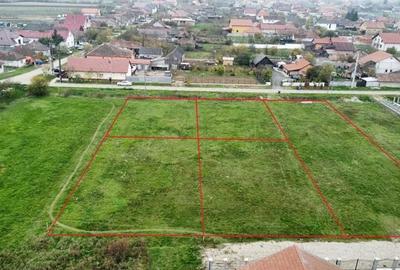 Trei parcele de 600 mp in Botiz | Toate utilitatile, aproape de oras - 2