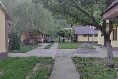 Gospodarie langa Deva - 3