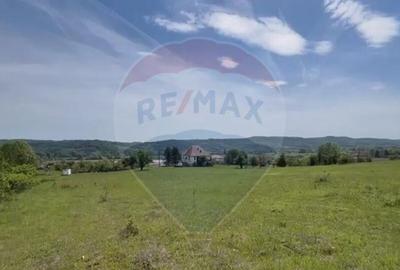 Fost Conac cu padure si teren 54h - 11